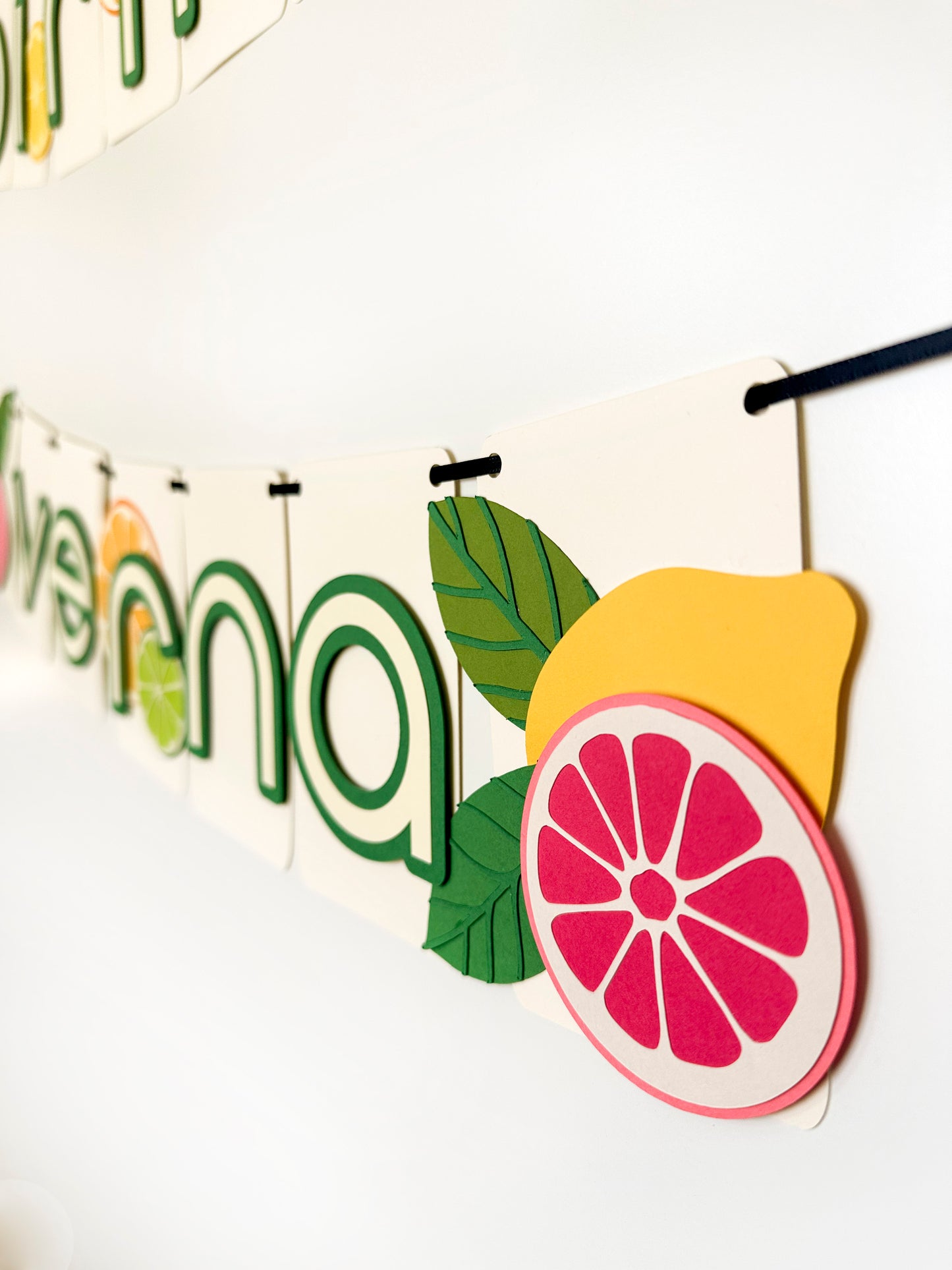 Citrus Party Banner| Lemon Banner | Lemon Garland | Summer Party | Party Decorations